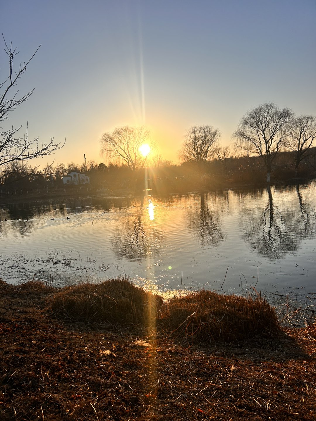 20250203173632front1_0_6750_Fm1iom-4FOv-k65hbgzx7lQWCmKZ.jpg