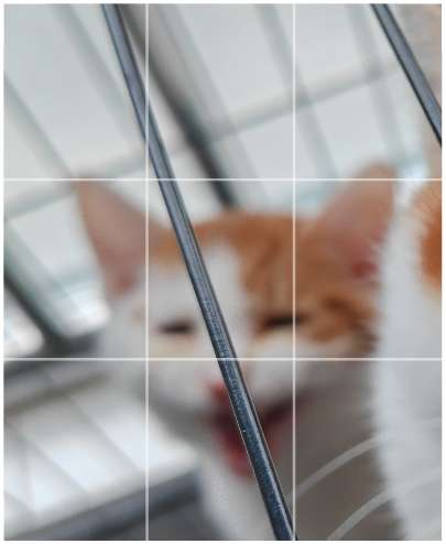 20250204162117front2_0_151573_Fmw1ElwtE8LblcmSOejg5ZqkzV_A.jpg