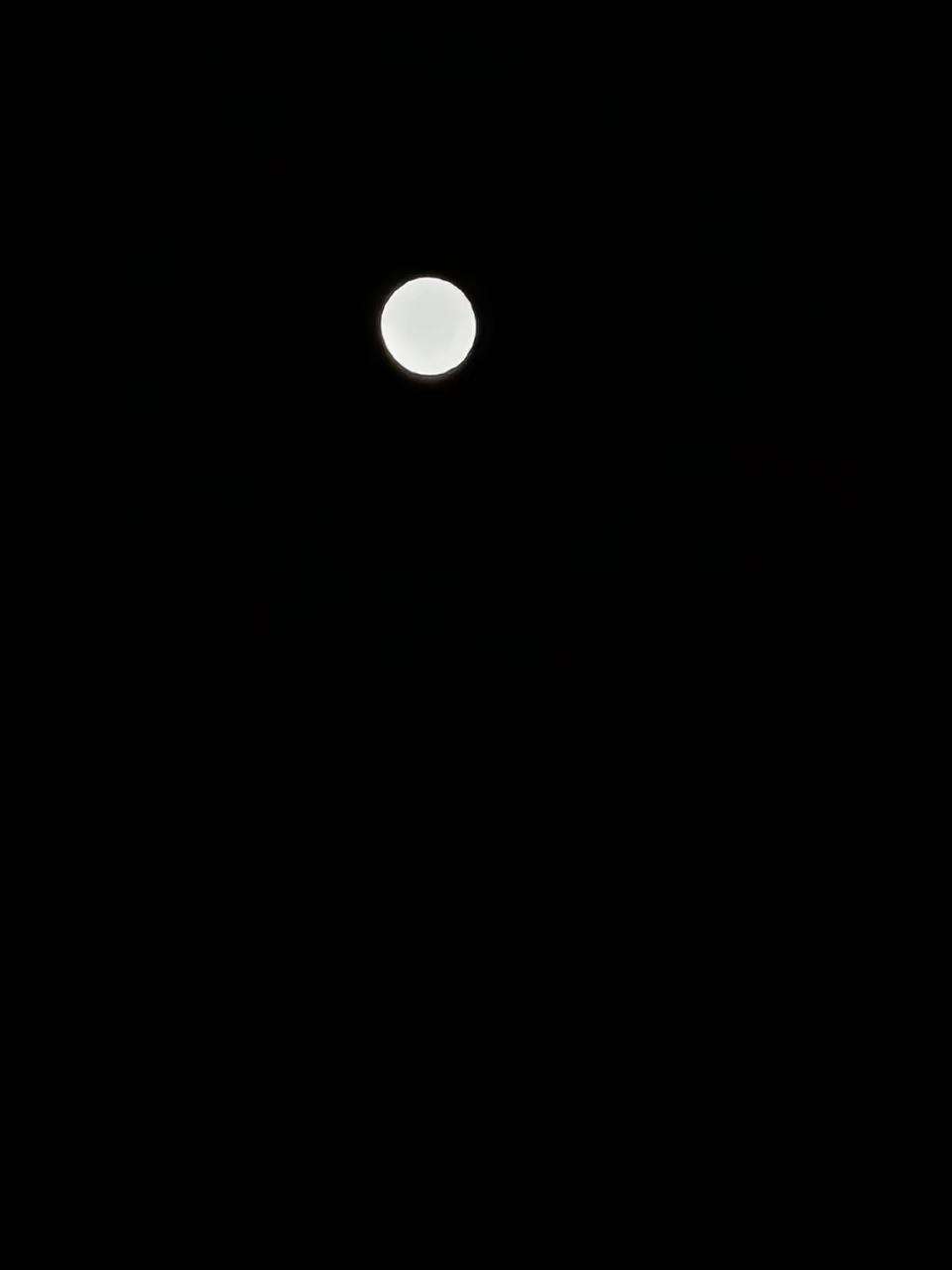 20250213094659front2_0_267060_FtZ3FKq5hfUURdGYXj1M0Tq56EPs.jpg