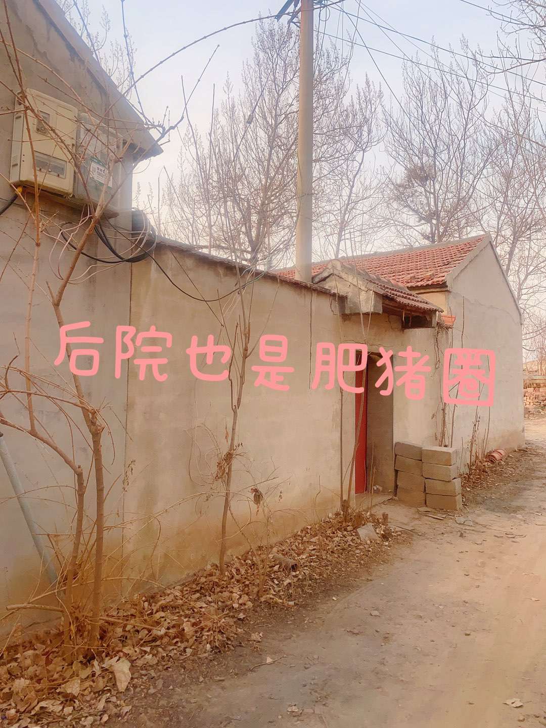 20250214215738front2_0_18493_Frs0YpPN7BkHuJ5tuMycMF7QoaSa.jpg