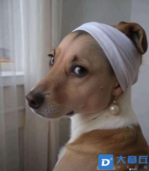 20250217113857front2_0_116357_FtvuD3aY_51GWhbsTKKSv0vY-jL0.jpg