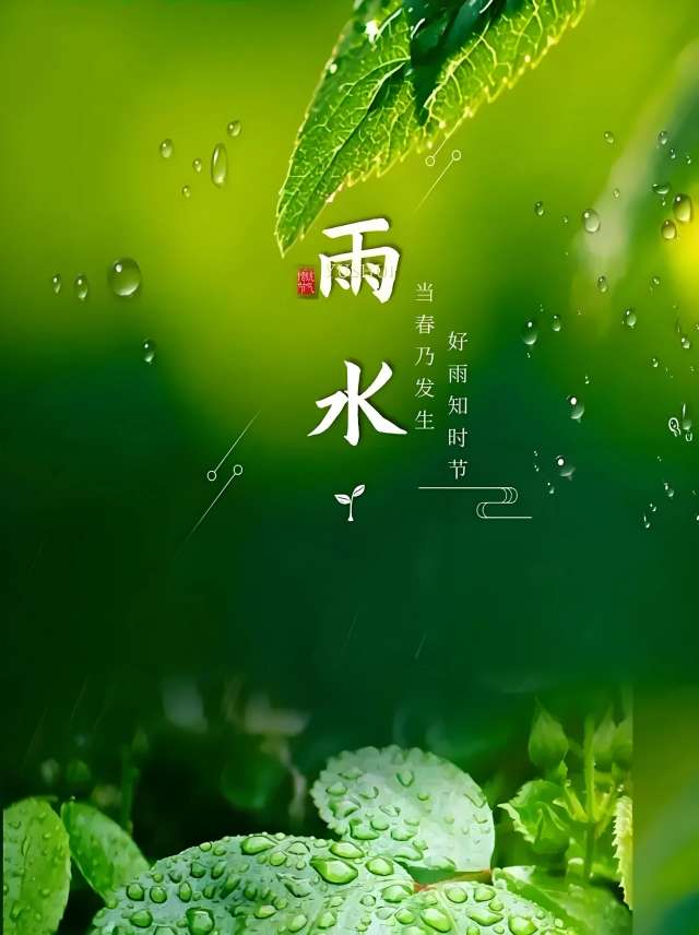 20250218071421front2_0_16352_Fpd-w8aMRNUGa8XcQyv7Sdzw3kFm.jpg