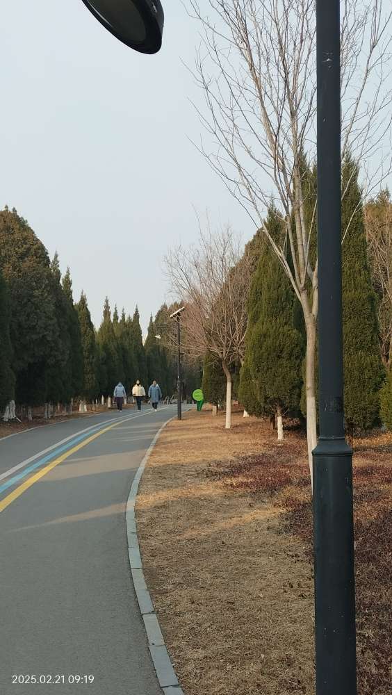 20250221103802front2_0_150914_FoRIS90tz2BgURC7lbcQB1SxL8np.jpg