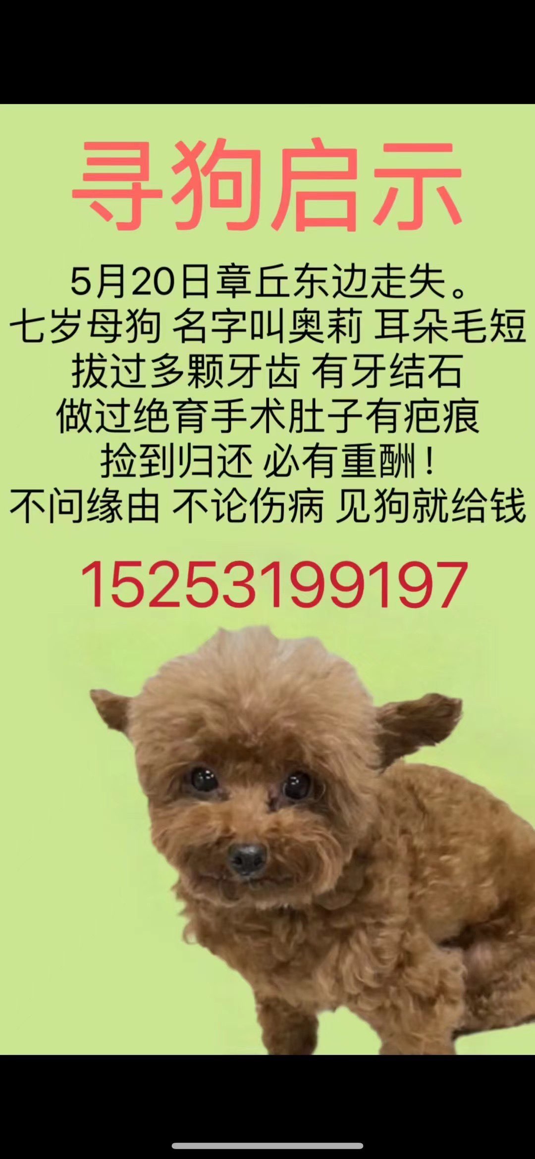 20250226042728front1_0_257166_Fm70IwFau4m7Xr4SZjYo-jglL4sL.jpg