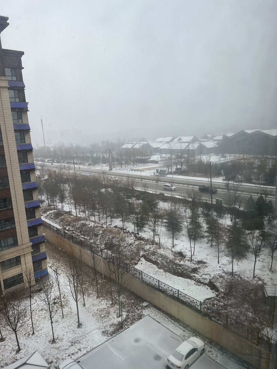 20250302121619front1_0_129688_FrzP6SQfUQEVPBGKTjDdyX4fsZs7.jpg