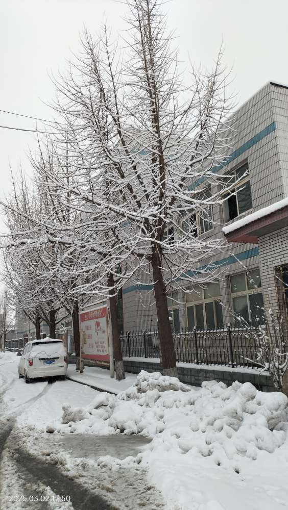 20250302190055front2_0_150914_Fgv4TVGJdUaqr6W4W50QaM7Lqrwy.jpg