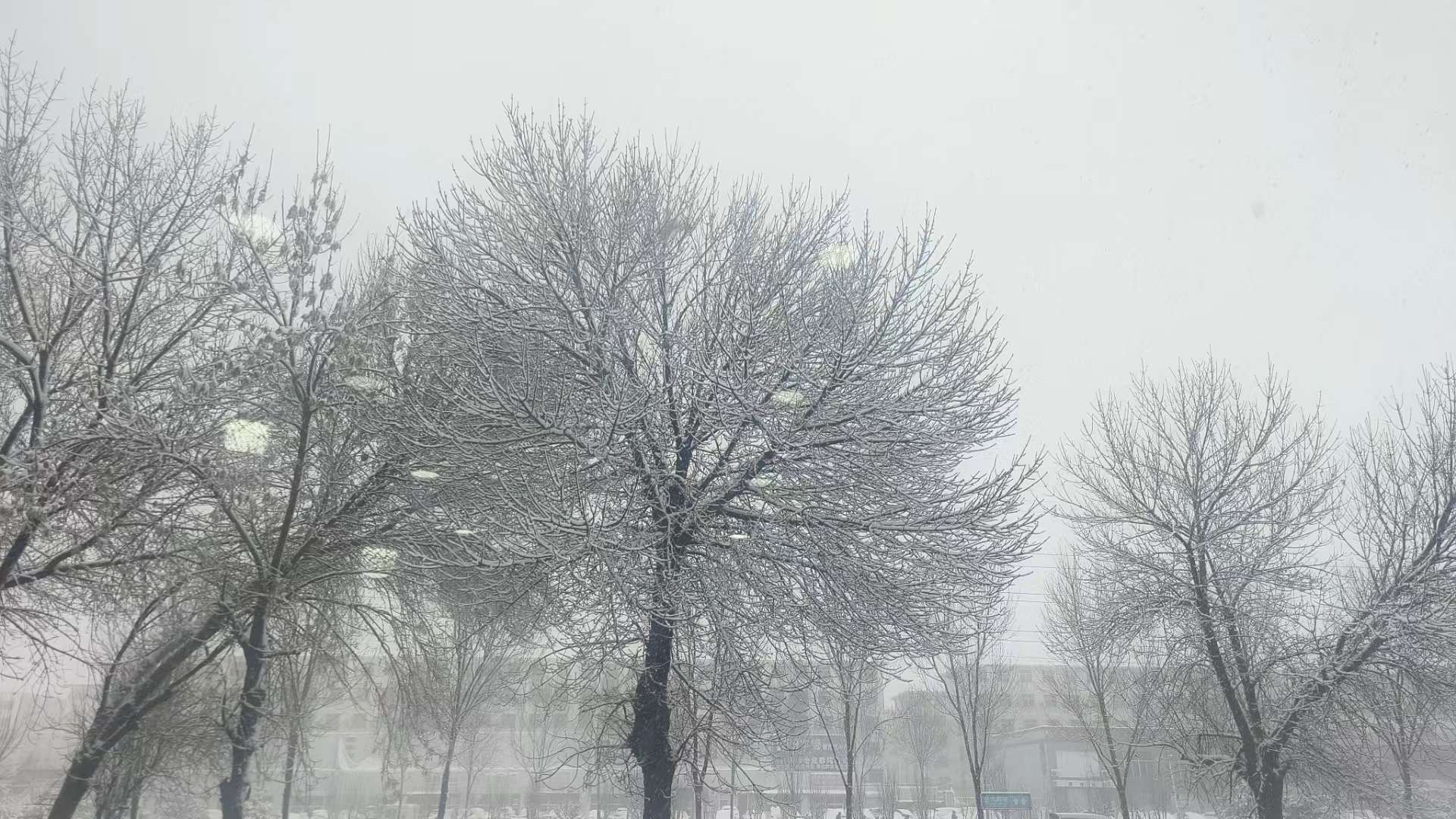 20250303050929front2_0_160409_Fh21l6uFLOVbLuvJOD7aNQ-NGF0t.jpg