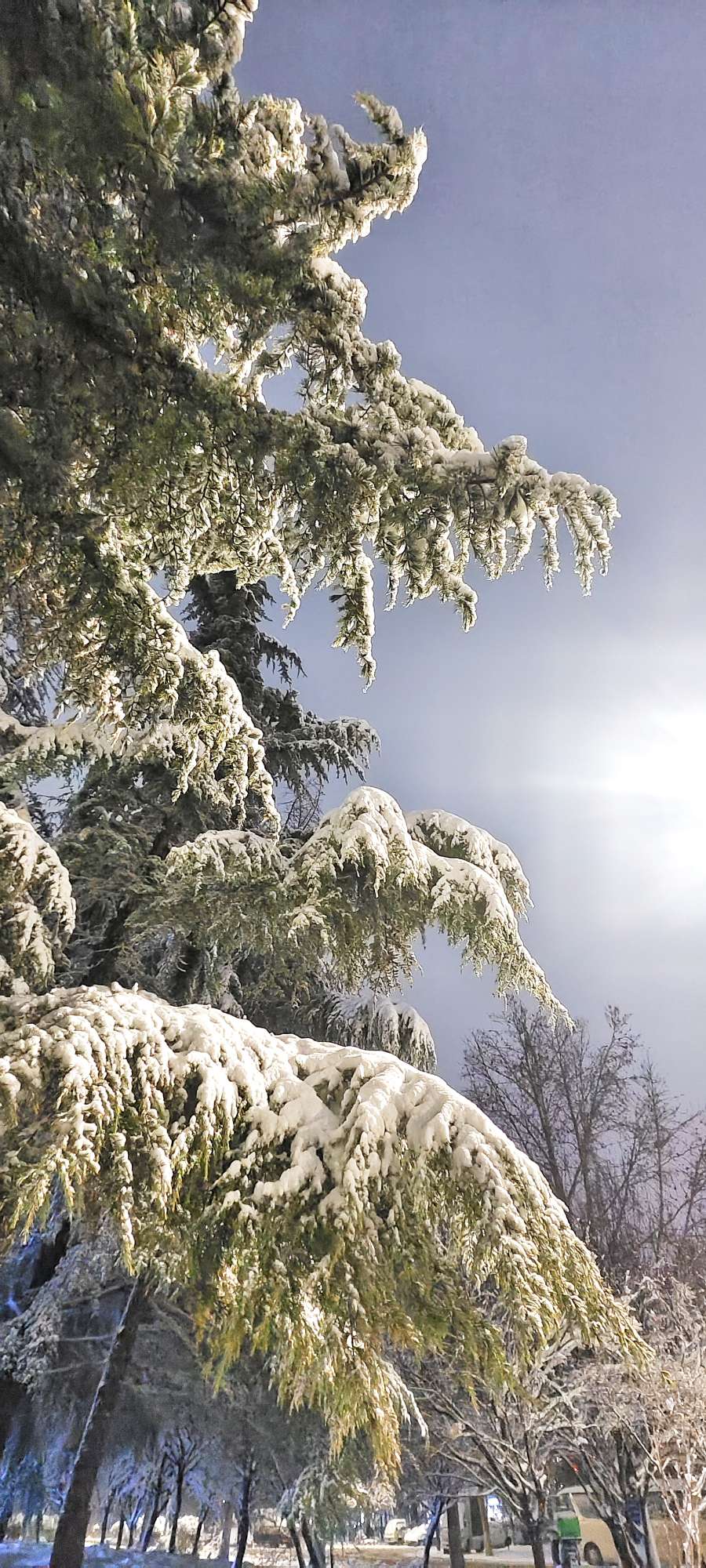 20250303070255front2_0_62554_FgOc8RteISFSa58EYIcvnymTI0BG.jpg