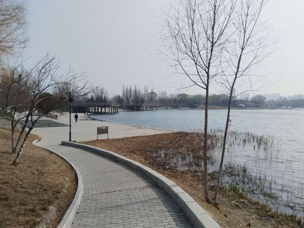 20250310183120front2_0_263029_FoDrYW7F3ezE79CbAD2avTLw1kmq.jpg