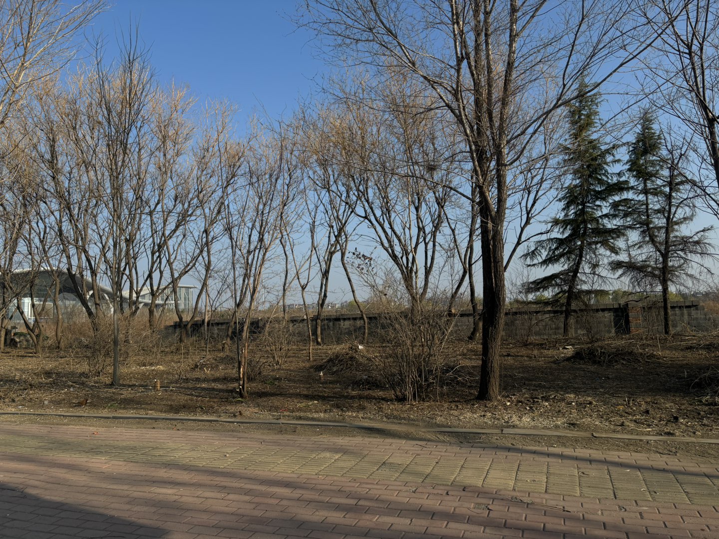 20250316131015front1_0_236190_FhmTmCRigzIdv5ueKBp2qjNPdobv.jpg