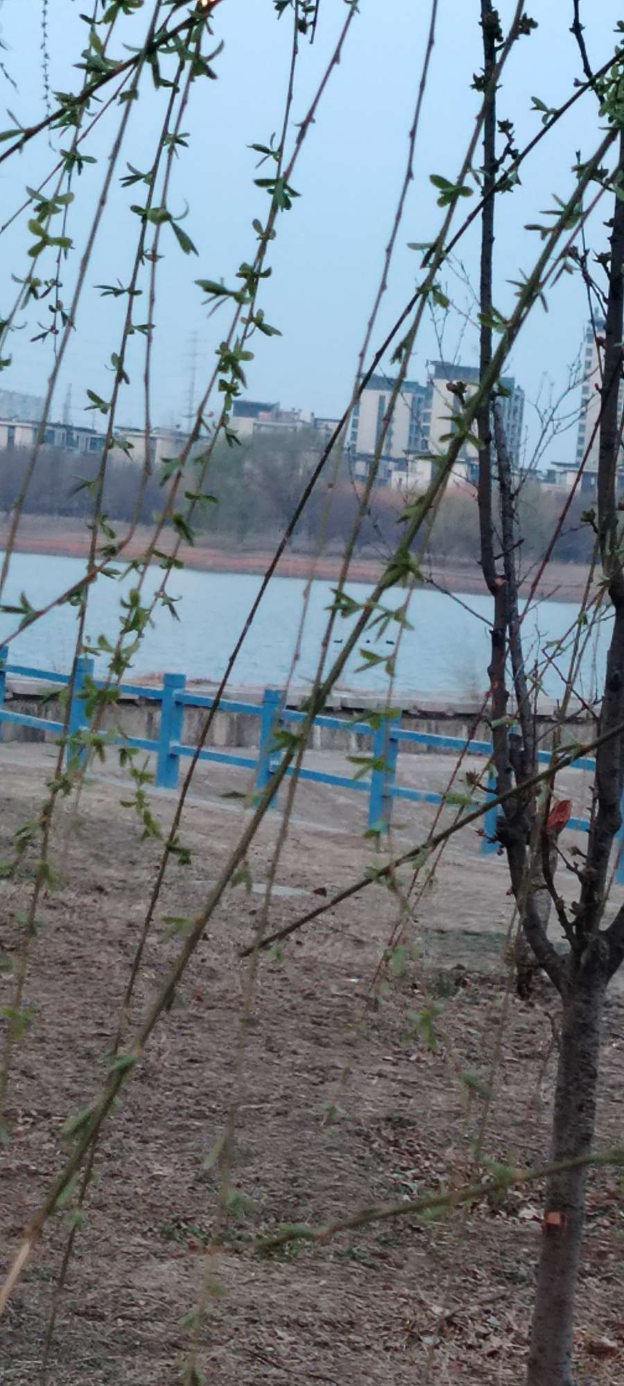 20250317112725front2_0_250092_FlAQRx76O5qN89hCmijW2EsdVG8h.jpg