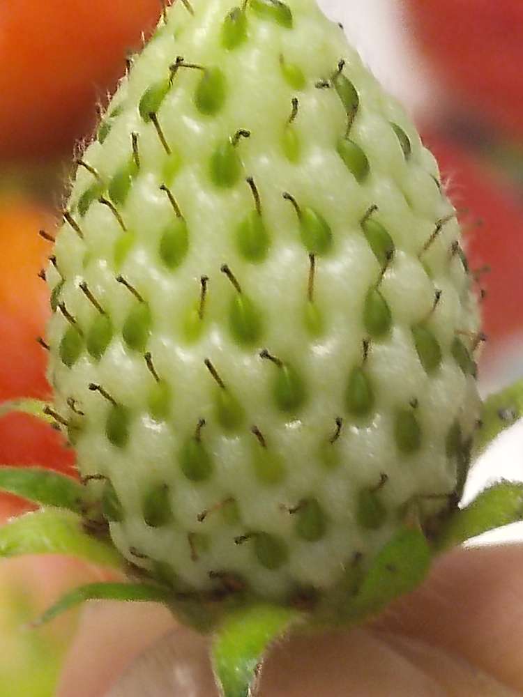 20250318155412front2_0_20984_Fhs7lBF6V9o5TxzEvMihaUmnPenh.jpg