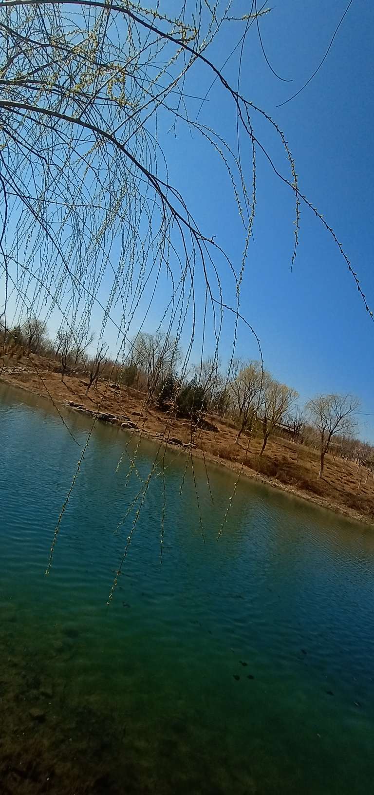 20250318164020front2_0_194810_Ftpv2H4Te8d23T2TDAAfE9Syyk8x.jpg