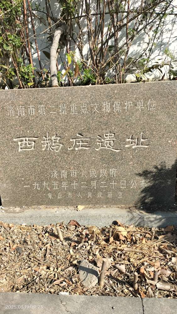 20250319093031front2_0_150914_FtA5KUo0-MG1xC3so3Ht_nGT3Td-.jpg