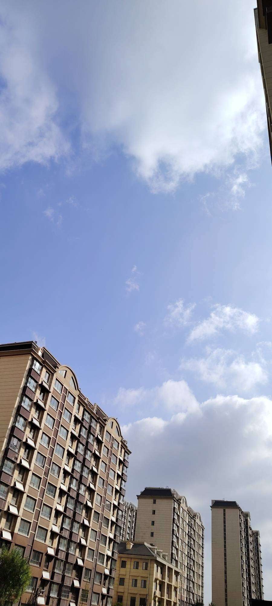 20250321113249front2_0_250092_Fj1AOFb6Zw1YgFtHTASK_Cs_Dq_p.jpg