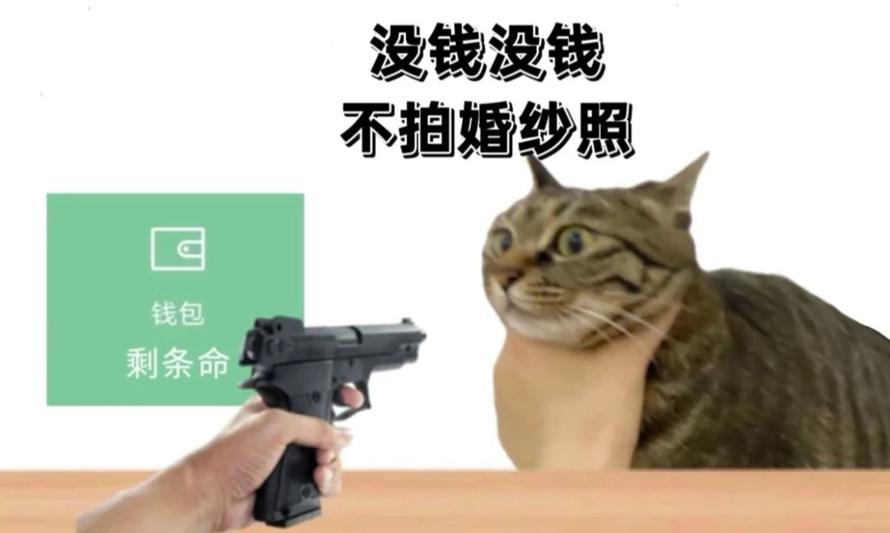 121252mm8ivnm7h70llcij.jpeg