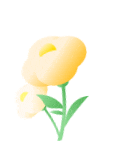 103335g62ey62brbrqk5k8.gif