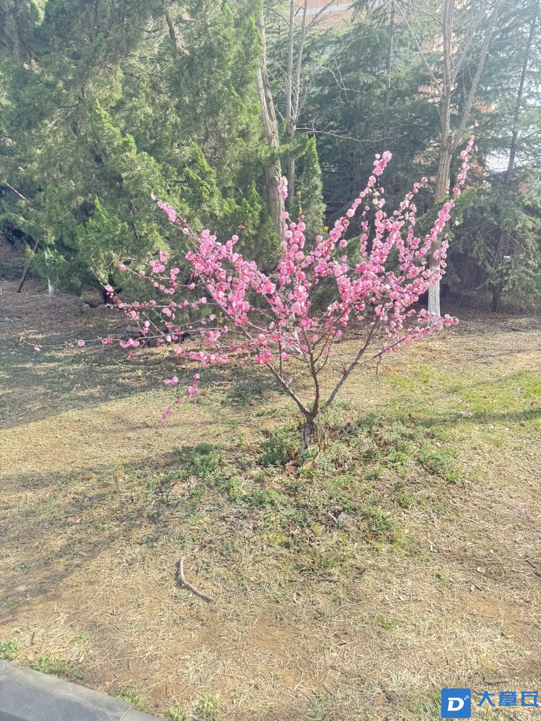 20250327083518front1_0_7586_FtA5koU4ctbU5V2vFGESbUAWN2PX.jpg