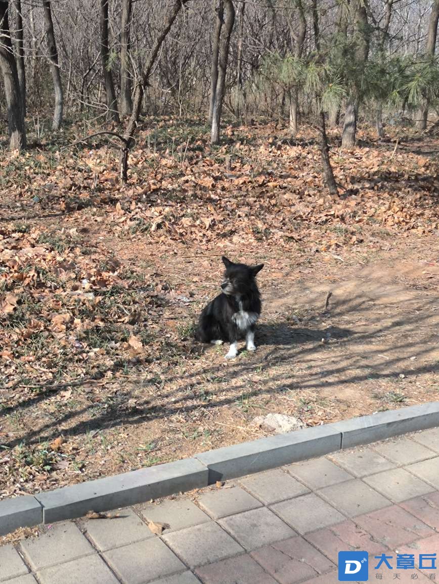 20250403074056front2_0_35423_FurfFwwulJEPCo-GMQb8OIdq_5Cb.jpg