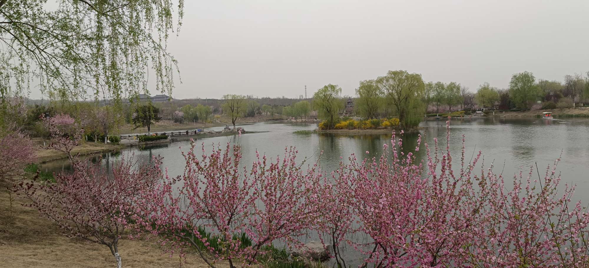 20250404192339front2_0_122203_Fn7c0B8ia_r4_TQyhn6S6I0FRy7h.jpg