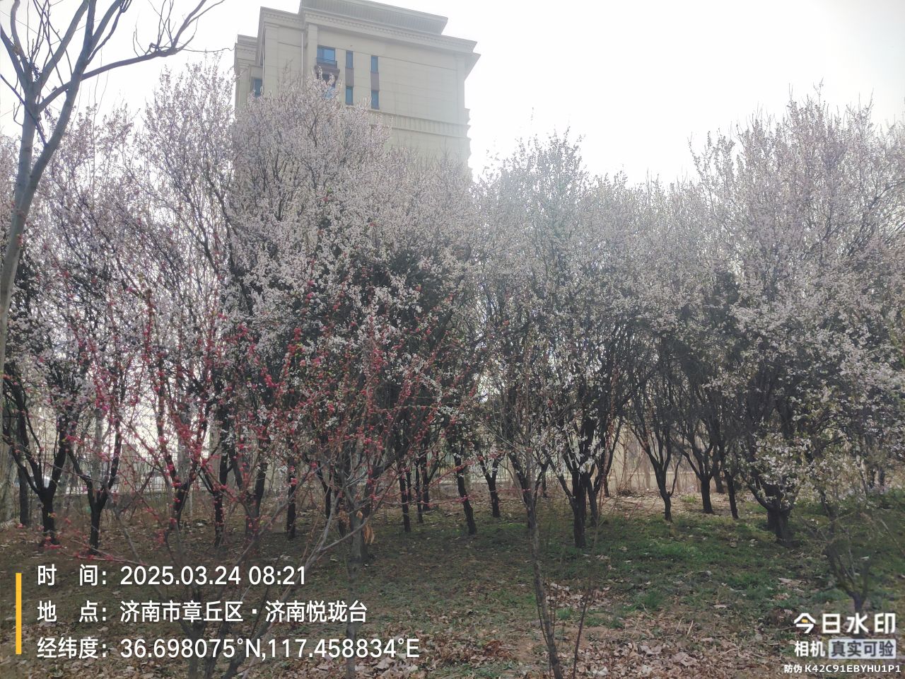 20250405105955front2_0_12536_Fh3ZsoDx6B8MsW4Z1weN3DeD571D.jpg