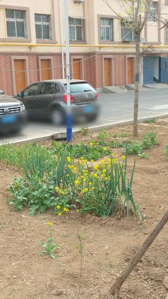 20250409070807front2_0_150914_FhGpOx5GuojUjIHAFezIImwg4IOl.jpg