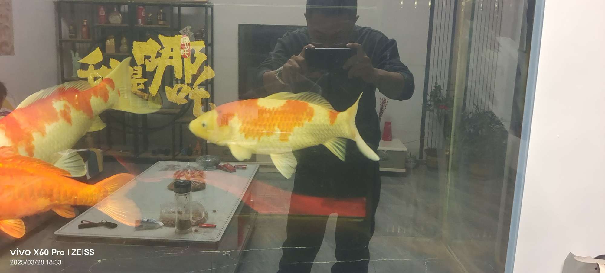 20250413161700front2_0_135653_FtRxmxhGqPPrbNNVu0JyFYBpRhyJ.jpg