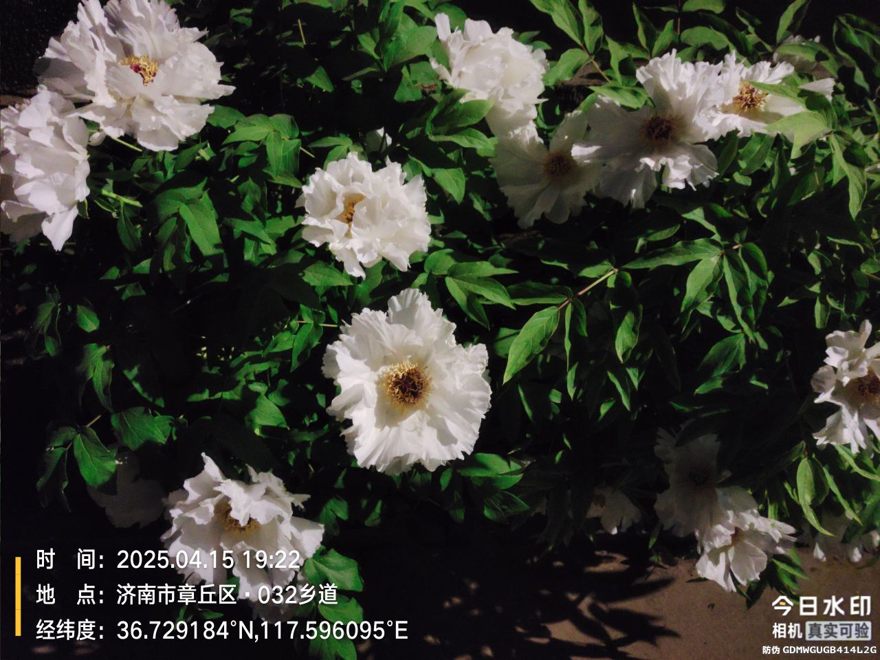 20250415201420front2_0_12536_Fj8IXqOWqHRMoWWYrTNvCVY549VO.jpg