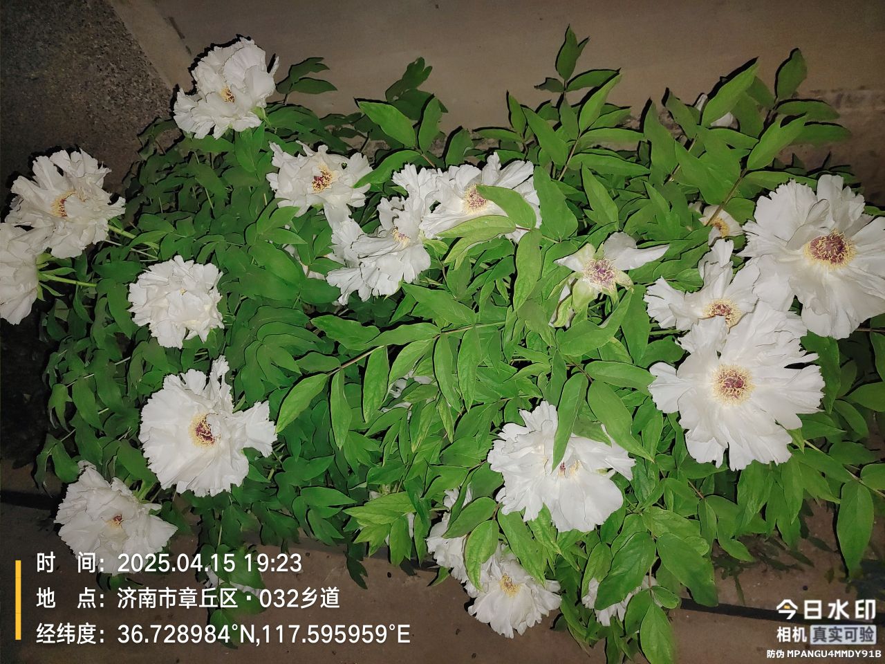 20250415201420front2_0_12536_FqzfJNMYnPDxKr8L6TQ6hqyZqsZK.jpg