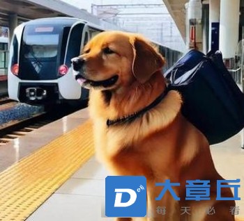 微信截图_20250418101817.png