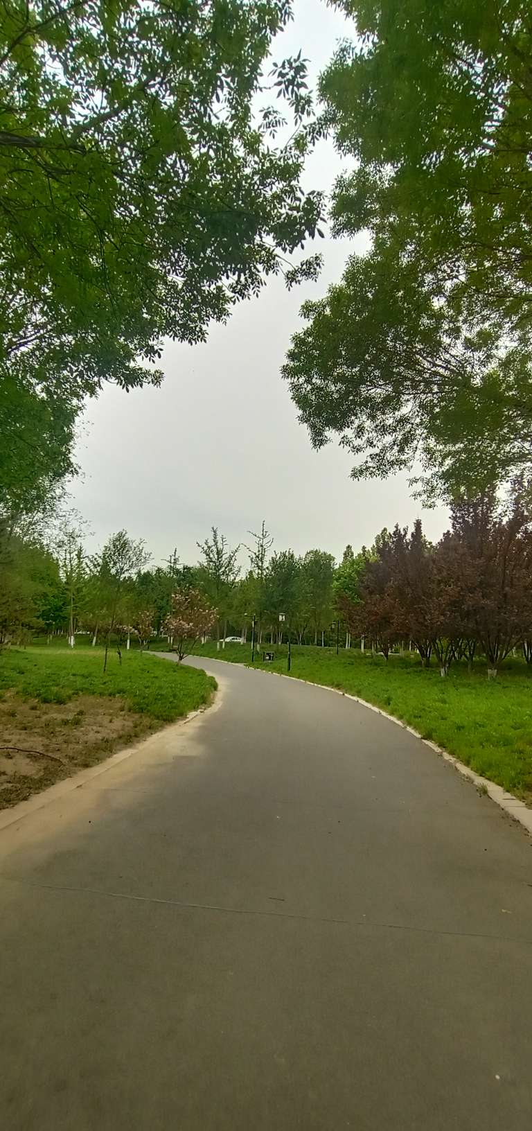 20250418175631front2_0_194810_FoyvXc5MHo4UBIQw60Wqg07DVnQK.jpg