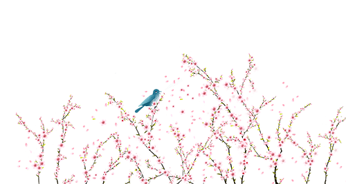 084434cyccggzeha5o5ekz.png