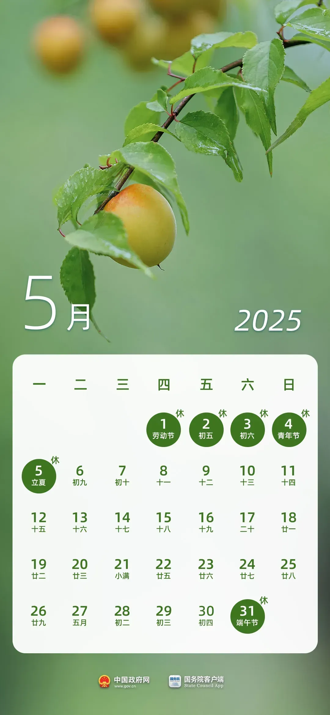 091253ogaqg43e8866a88z.png