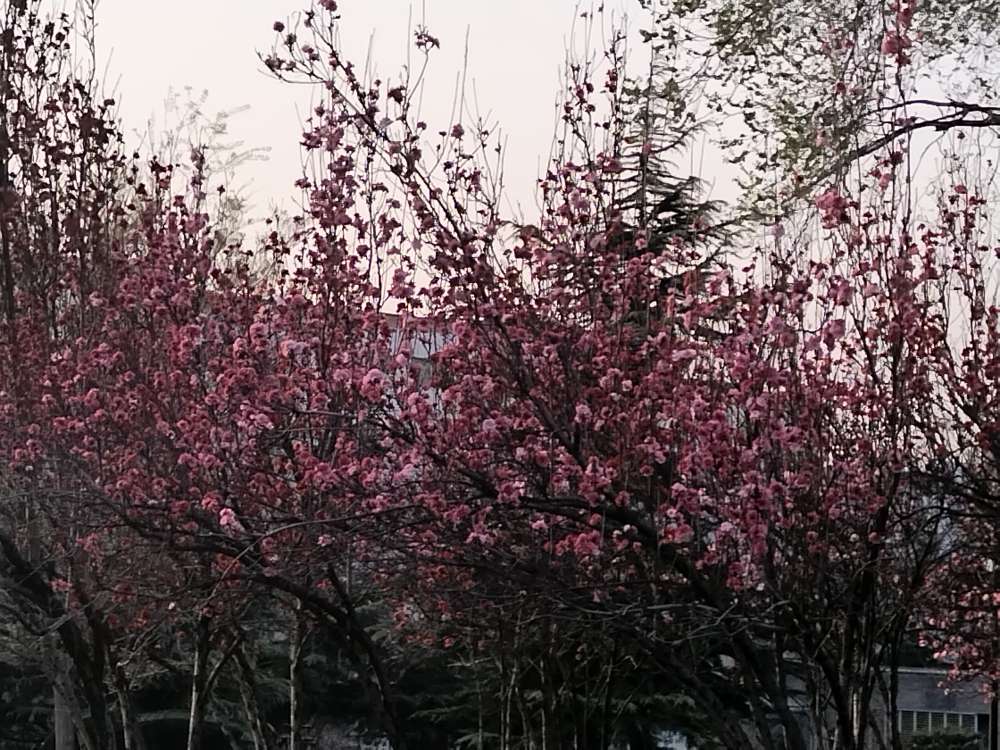 20250421142121front2_0_127954_FugehfC2uTPV4uGaemRfo5YMaBVw.jpg