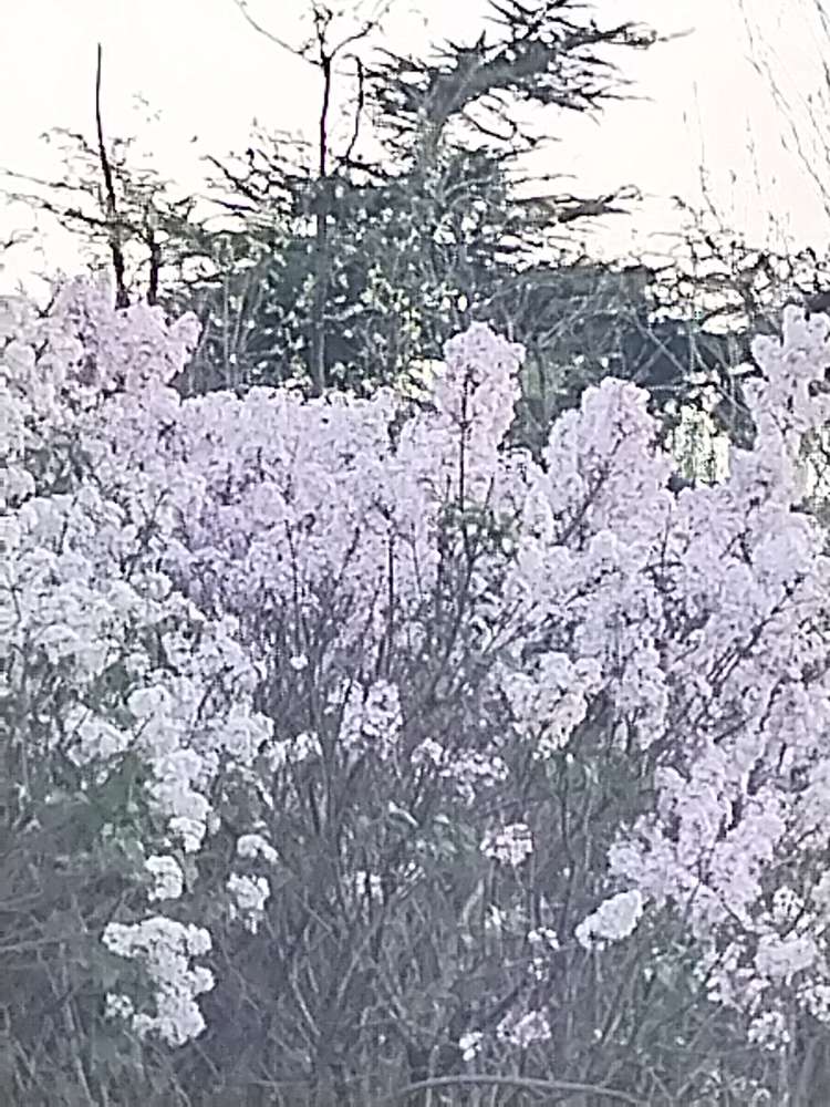 20250421142121front2_0_127954_Fies6czzHGh6h_IJgUddgz9QzSAi.jpg