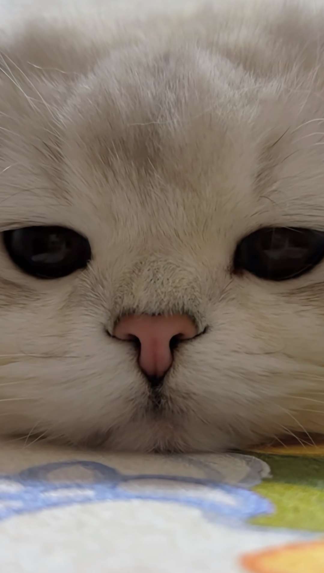 20250421174256front2_0_127605_Fg-SpDofcP4UZCtoGxEgJclDh7tm.jpg