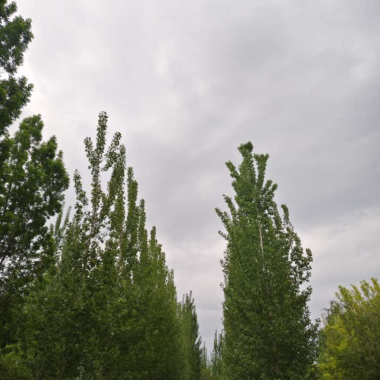 20250421180433front2_0_188359_FsCU0uBnIQkWD0-F-1ZzsKpZNLWS.jpg