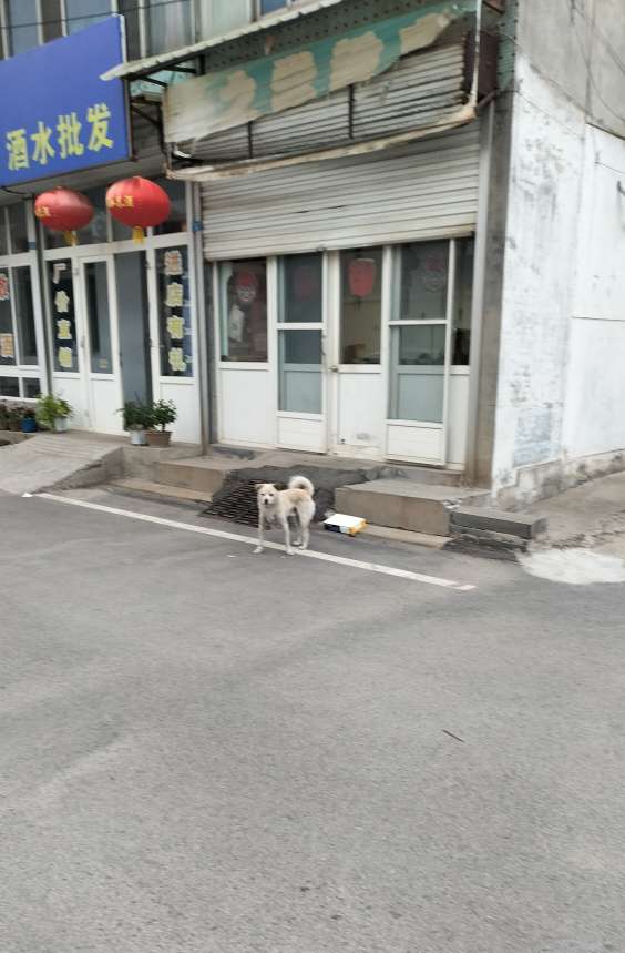 20250422063951front2_0_150914_FuPHYUe4J5vuQIxU_9FS8i7k5xQE.jpg