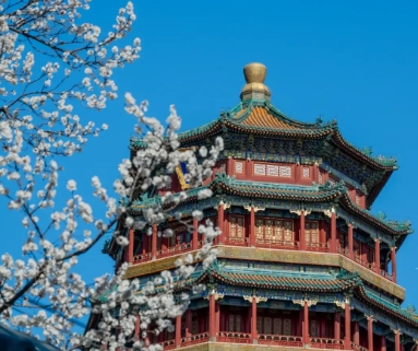 微信截图_20250422094226.png