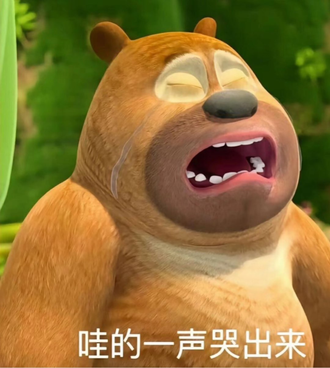 20250422100502front1_0_272862_Fo8lsMNKGkSwRALwEnnmrv6-_Y4k.jpg