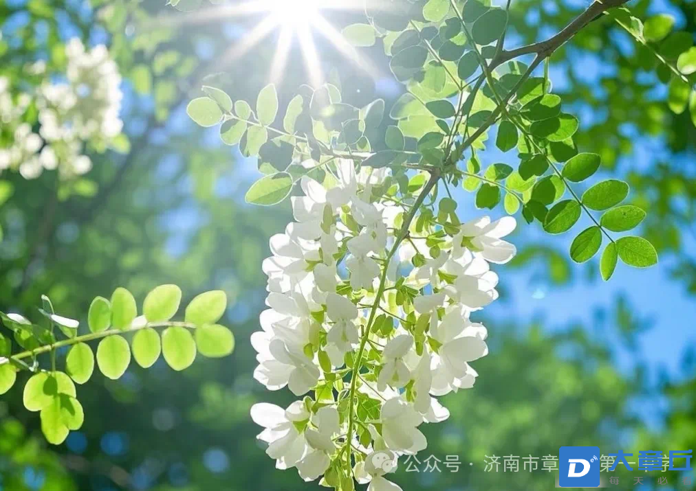 微信图片_20250423092252.png