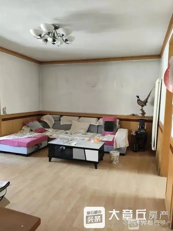 153827xleol64qc45tlxlo.jpeg