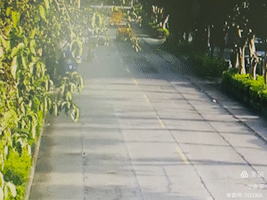 164323loyll8rxyyl0zdjr.gif