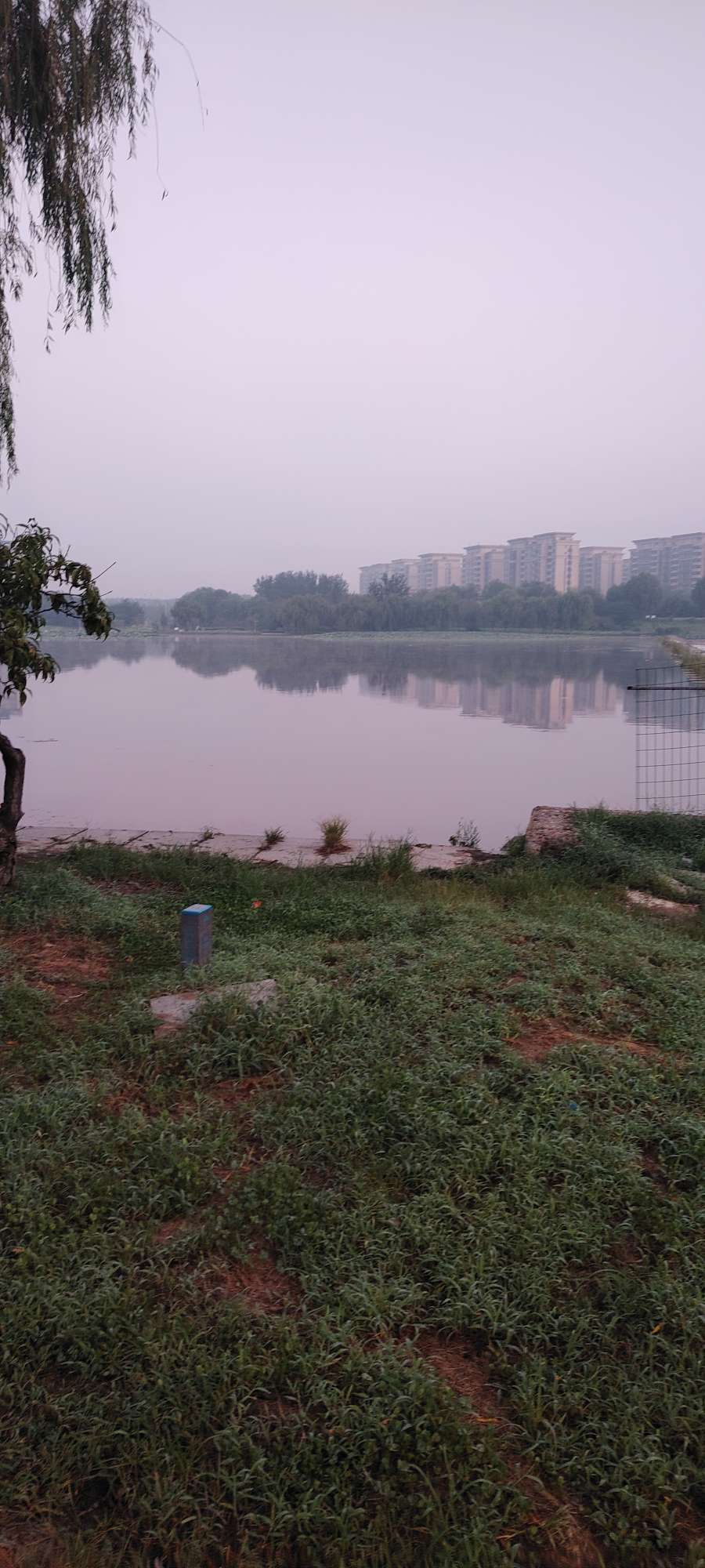 20250425071422front2_0_250092_FqsT5SFihrTj7n1hyOnP0MMdXnS1.jpg