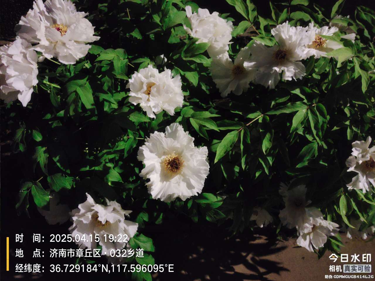20250428120138front2_0_31910_FoS3km_qPzRwUaKgmYF-x0XoR9cF.jpg