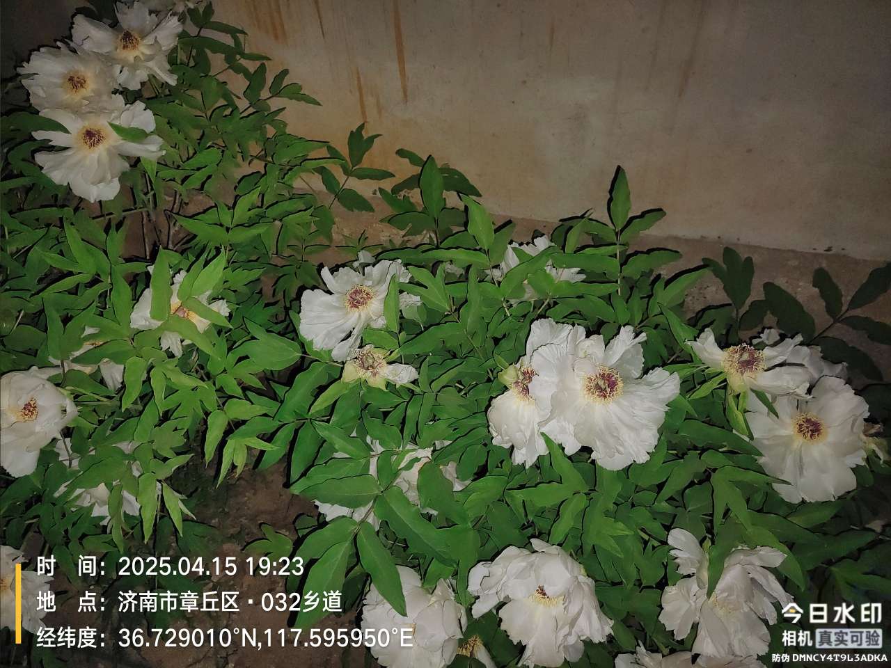 20250428120138front2_0_31910_Fi0OOiE5mGxZFp975SwitKK0o64P.jpg