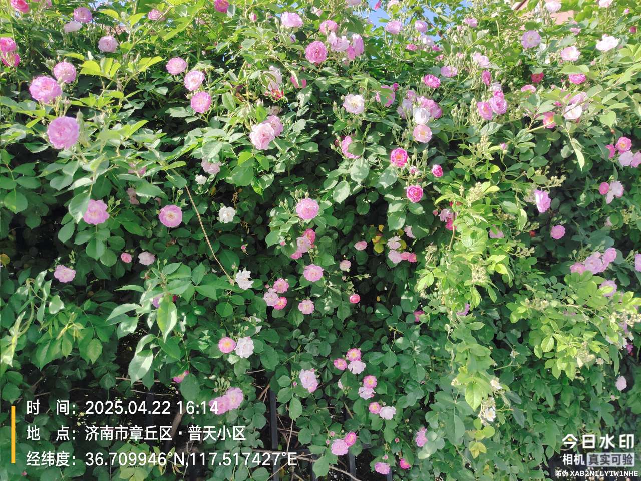20250428120137front2_0_31910_Fgoo7bFJRE6CvTxI8i-cZhC8pTSr.jpg