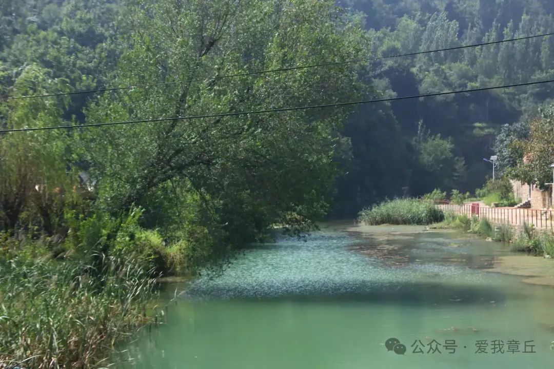 微信图片_20250430145009.jpg