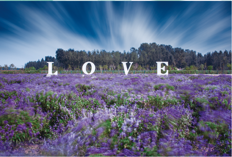 144508ugaz15g1hyeheh8t.png