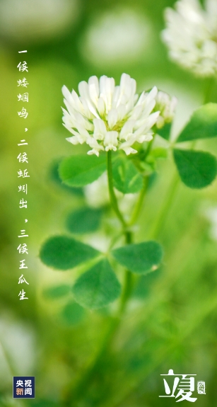 微信截图_20250505102437.png